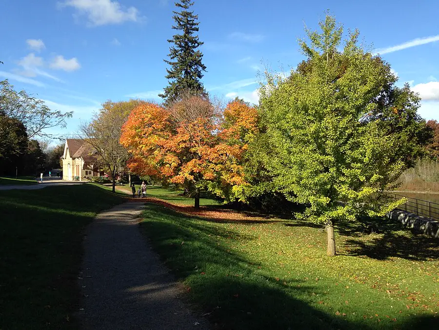 Springbank Park, Byron