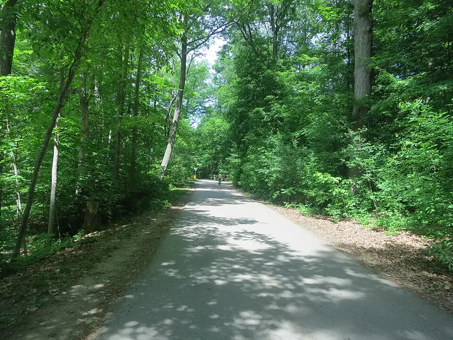 Springbank Park nearby, Westmount